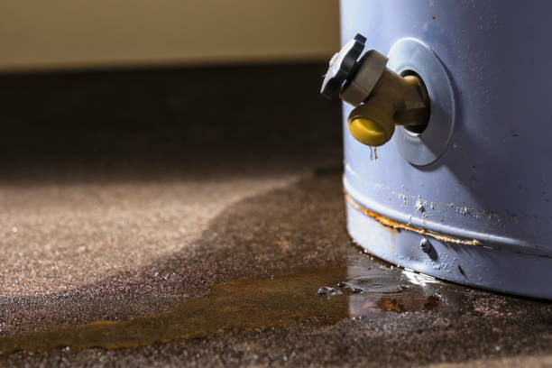 Carpet water damage restoration in Waxahachie, TX
