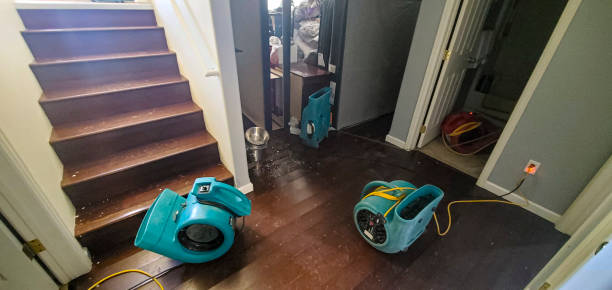 Best Carpet water damage restoration  in Waxahachie, TX