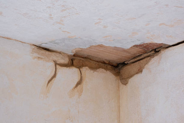 Best Water damage restoration near me  in Waxahachie, TX