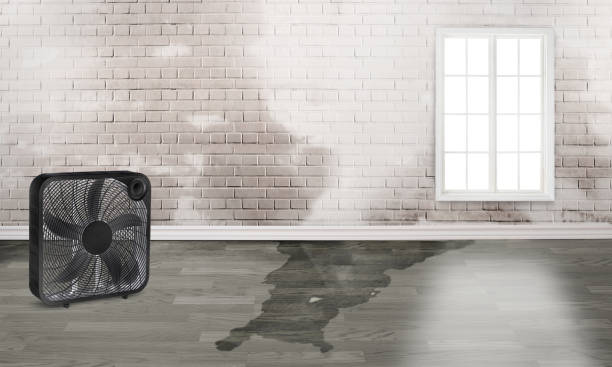 Best Water damage restoration company  in Waxahachie, TX