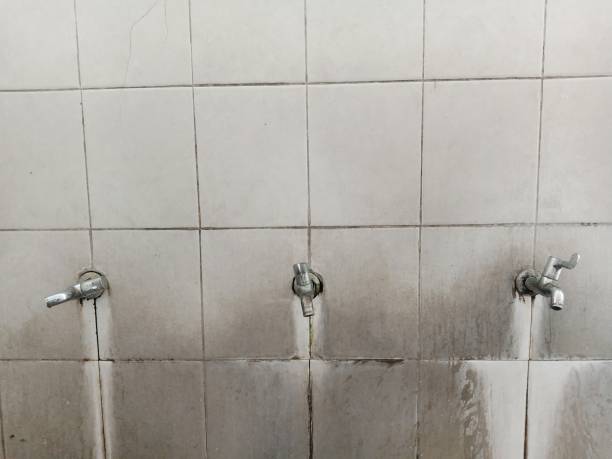 Best Sewage cleanup and water damage restoration  in Waxahachie, TX