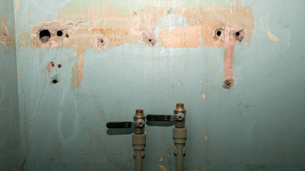 Trusted Waxahachie, TX Water damage restoration Experts