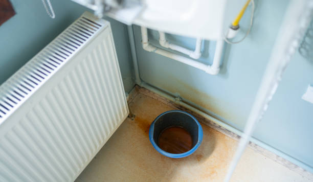 Best Water damage repair service  in Waxahachie, TX