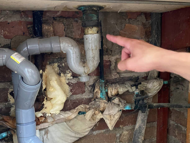 Best Mold removal after water damage  in Waxahachie, TX