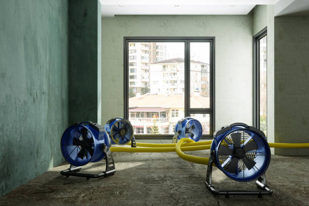 Best 24/7 water damage repair  in Waxahachie, TX