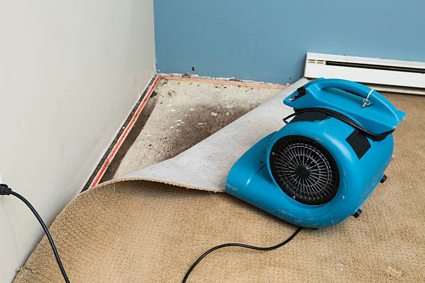 Best Ceiling water damage repair  in Waxahachie, TX